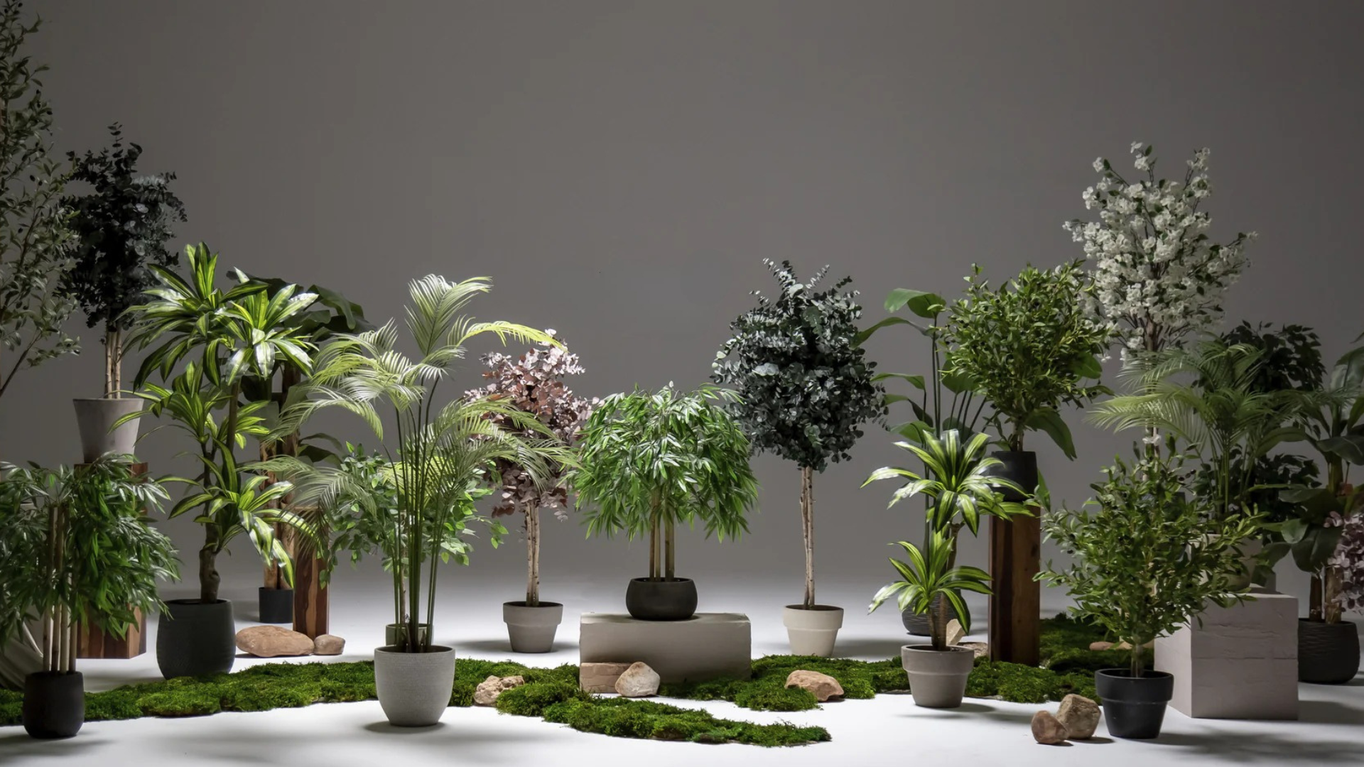 Artificial plants for home and office decor available online in Bangalore – lifelike indoor greenery delivered to your doorstep.