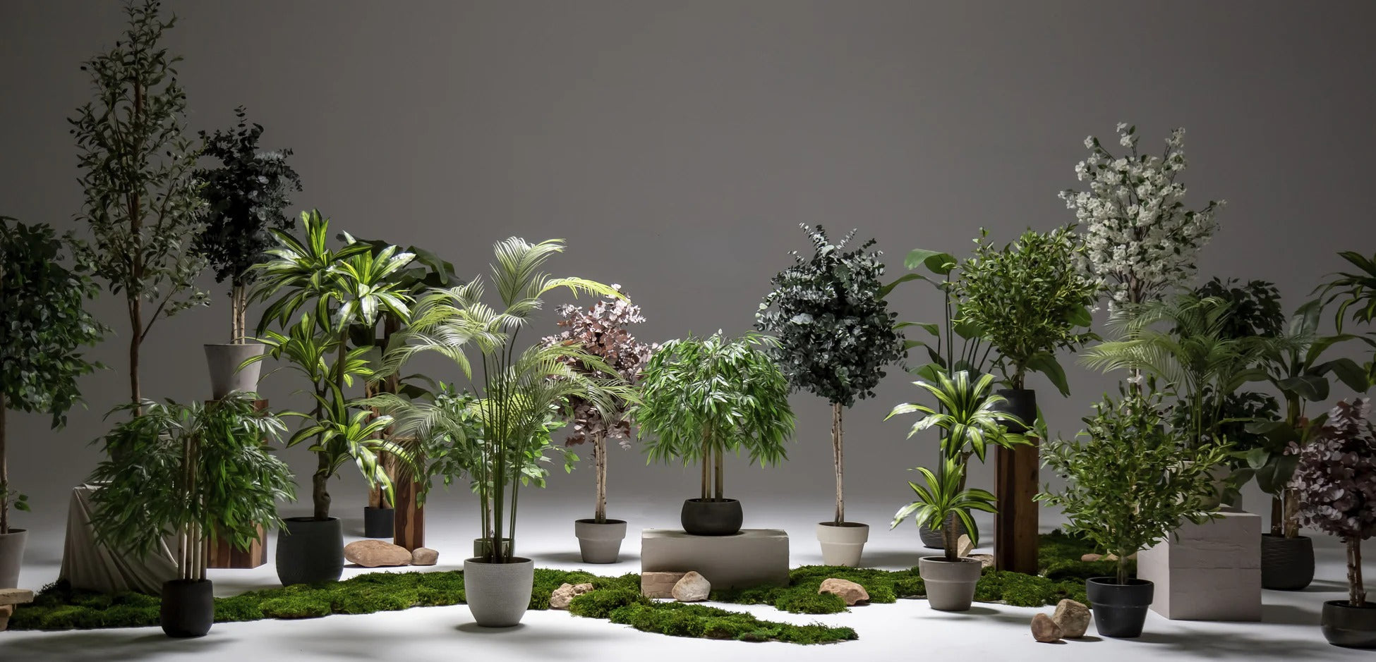 LuxiPlant artificial plants collection – a diverse range of lifelike, maintenance-free plants in various sizes