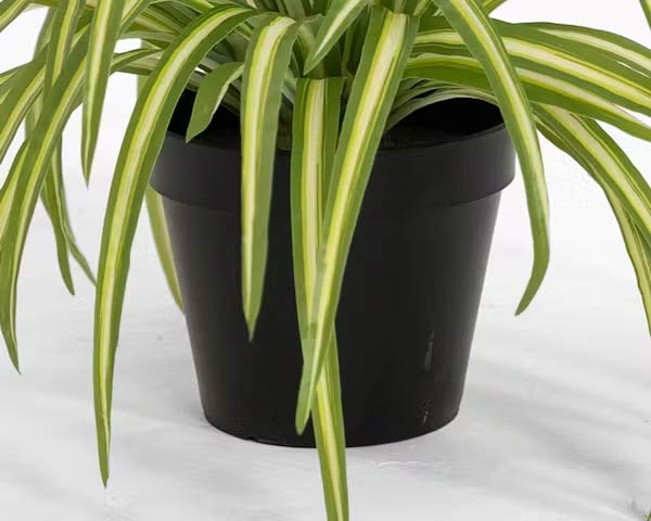 1.5 Ft Artificial spider plant – lifelike tropical plant alternative