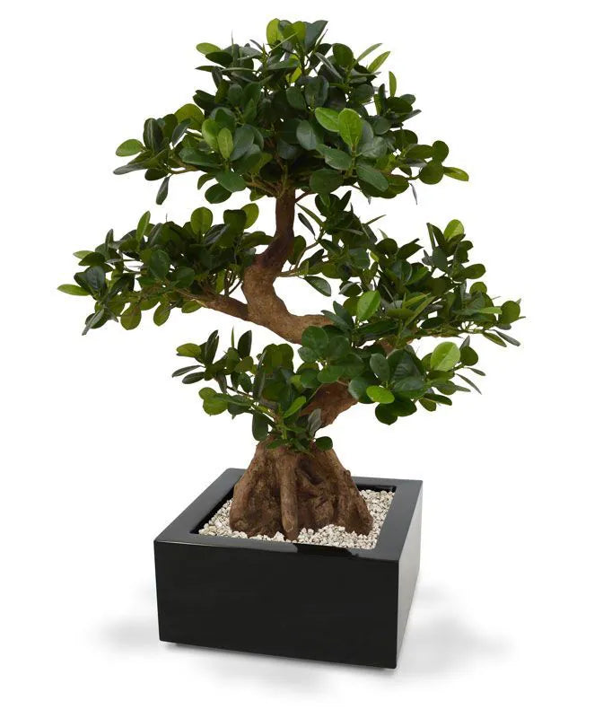 Premium 2 Ft artificial bonsai tree with detailed lifelike foliage