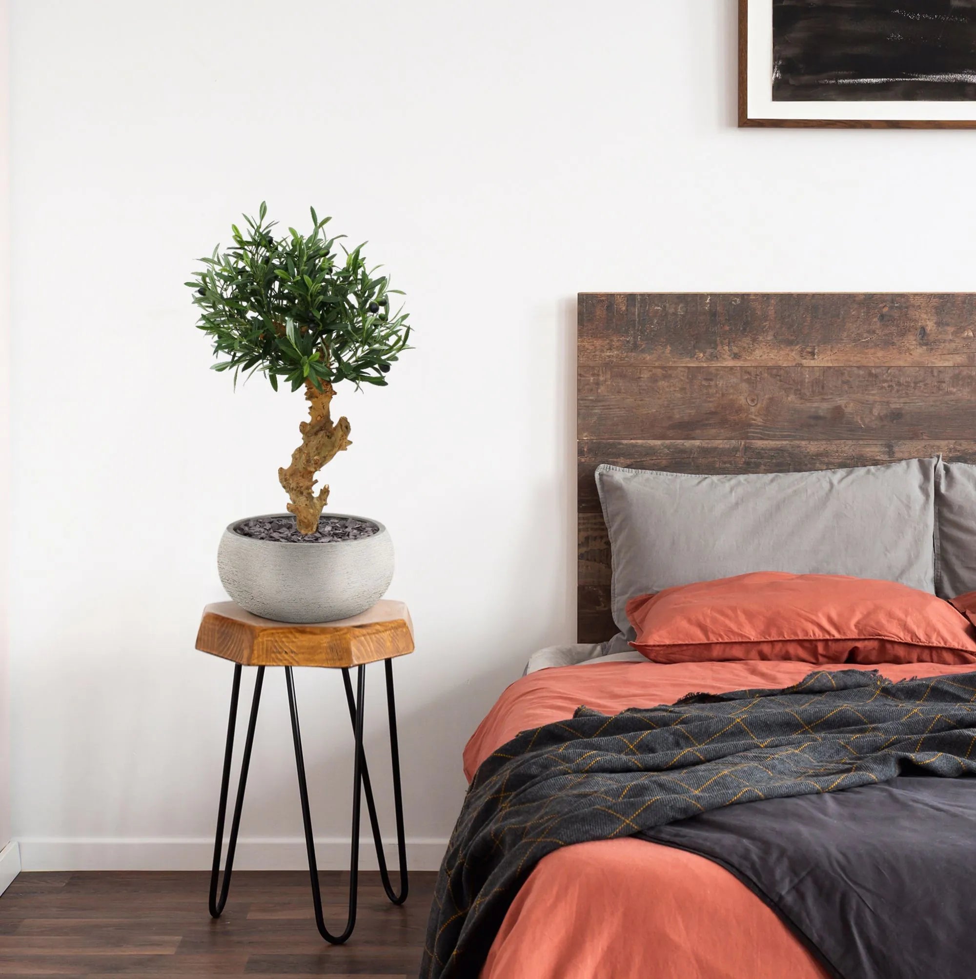 Vibrant 2 Ft faux Olive Bonsai tree for indoor and outdoor decoration