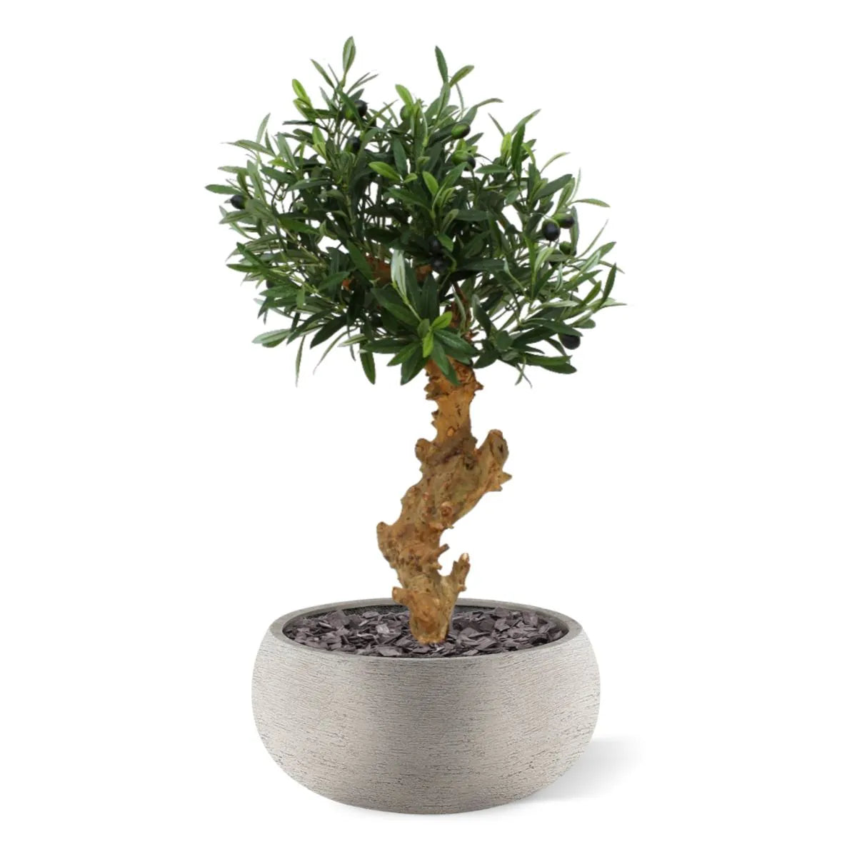 Decorative 2 Ft artificial Olive tree with a natural-looking bonsai shape