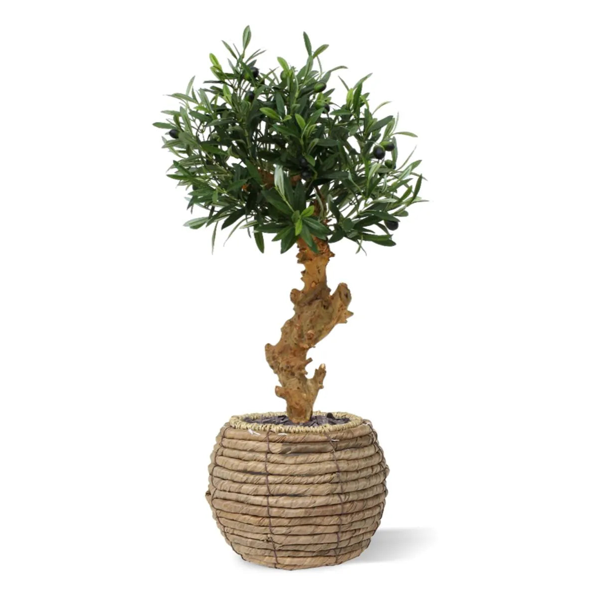 High-quality 2 Ft faux Mediterranean Olive Bonsai with detailed branches