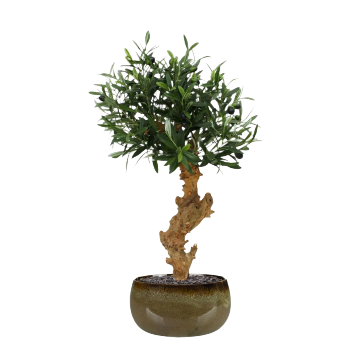 Lifelike 2 Ft artificial Olive Bonsai tree with realistic green leaves