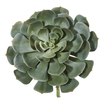 Faux Succulent Plants (Set of 12) – Mini Artificial Greenery for Home, Office, Terrariums & DIY