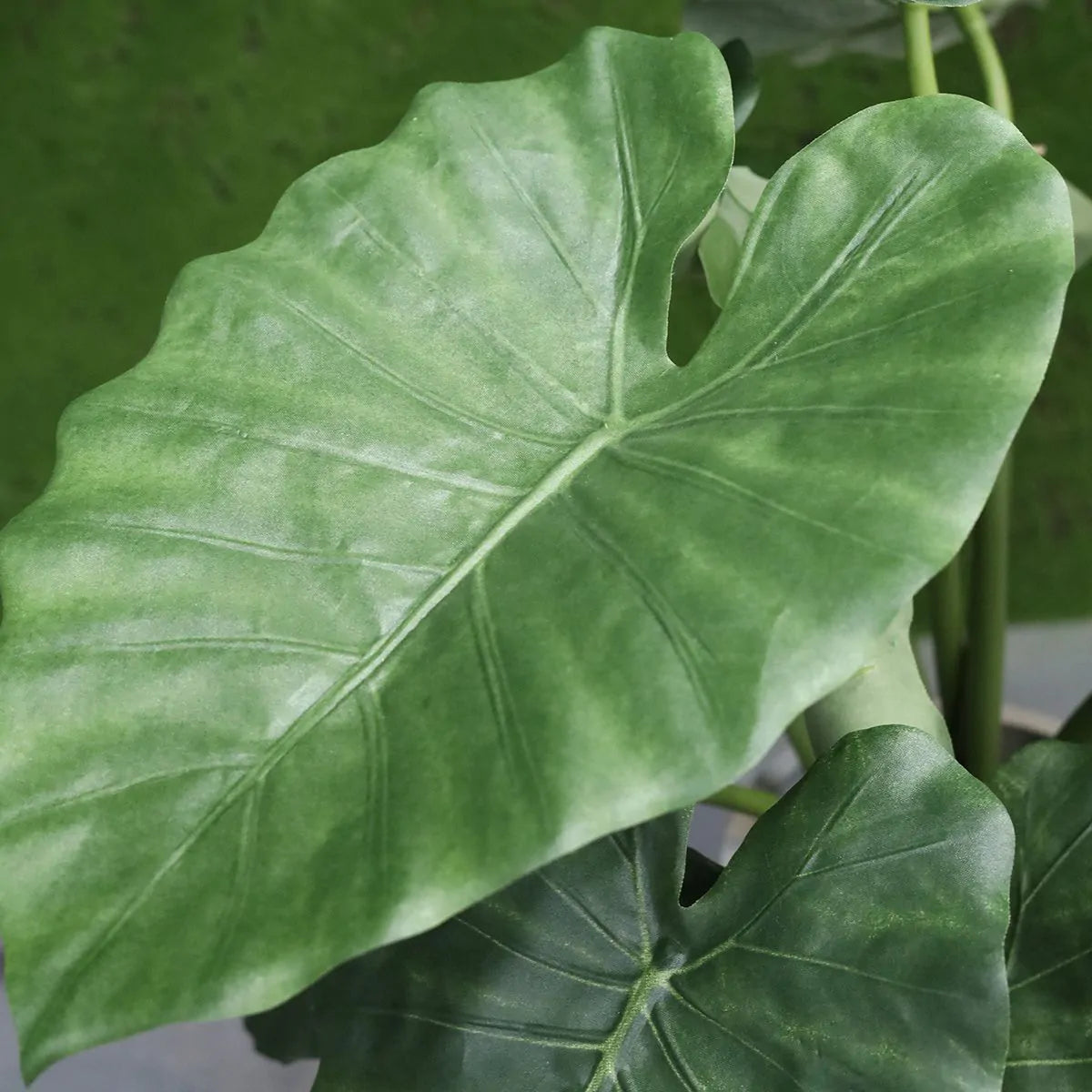 Realistic 2 Ft faux Alocasia plant – perfect for home and office decor
