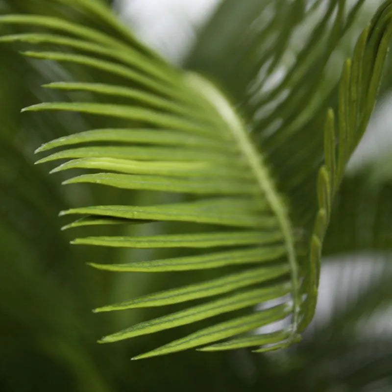 Lifelike 2 Ft artificial Cycas Palm with lush green fronds