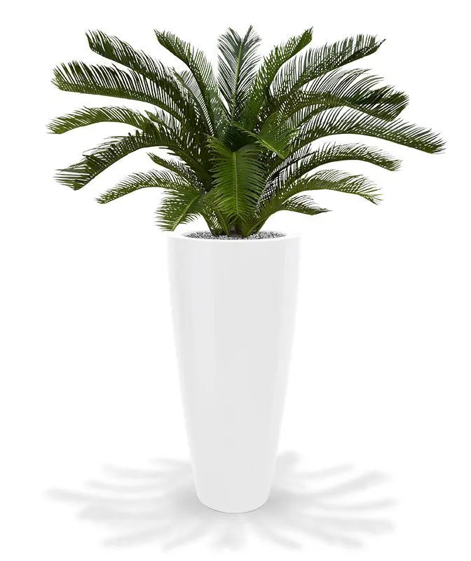 Elegant 2 Ft artificial tropical Cycas Palm with soft-touch leaves