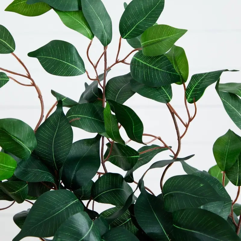Close-up of Artificial Ficus Tree Leaves