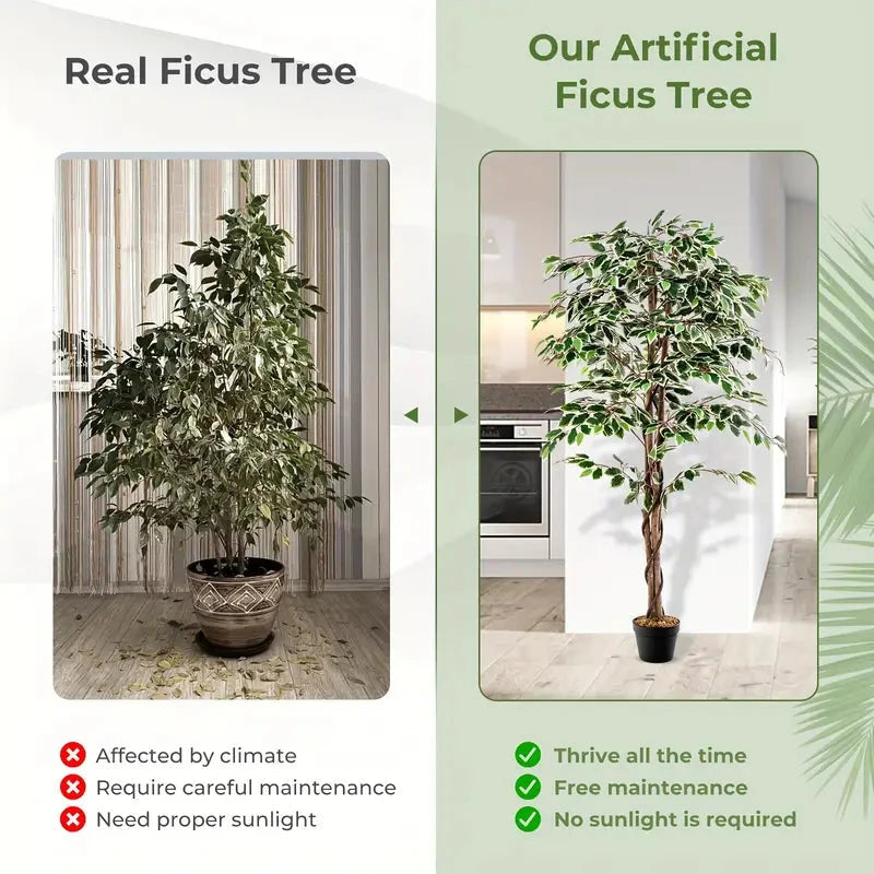 6 Ft Artificial Ficus Tree – Lush, Maintenance-Free Elegance 6ft Luxiplant