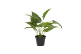 1.5 Ft Green Polyethylene Plastic Rectangle Artificial Foliage – full plant shot showcasing realistic foliage