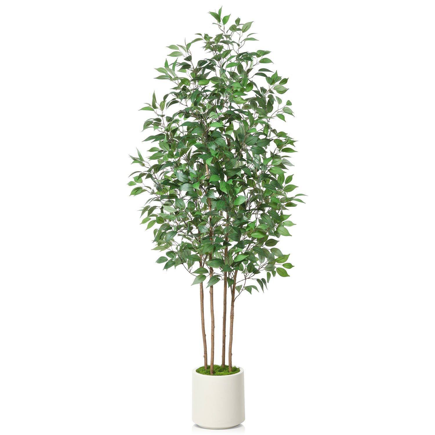 Premium Faux Ficus Tree with fabric and wood materials