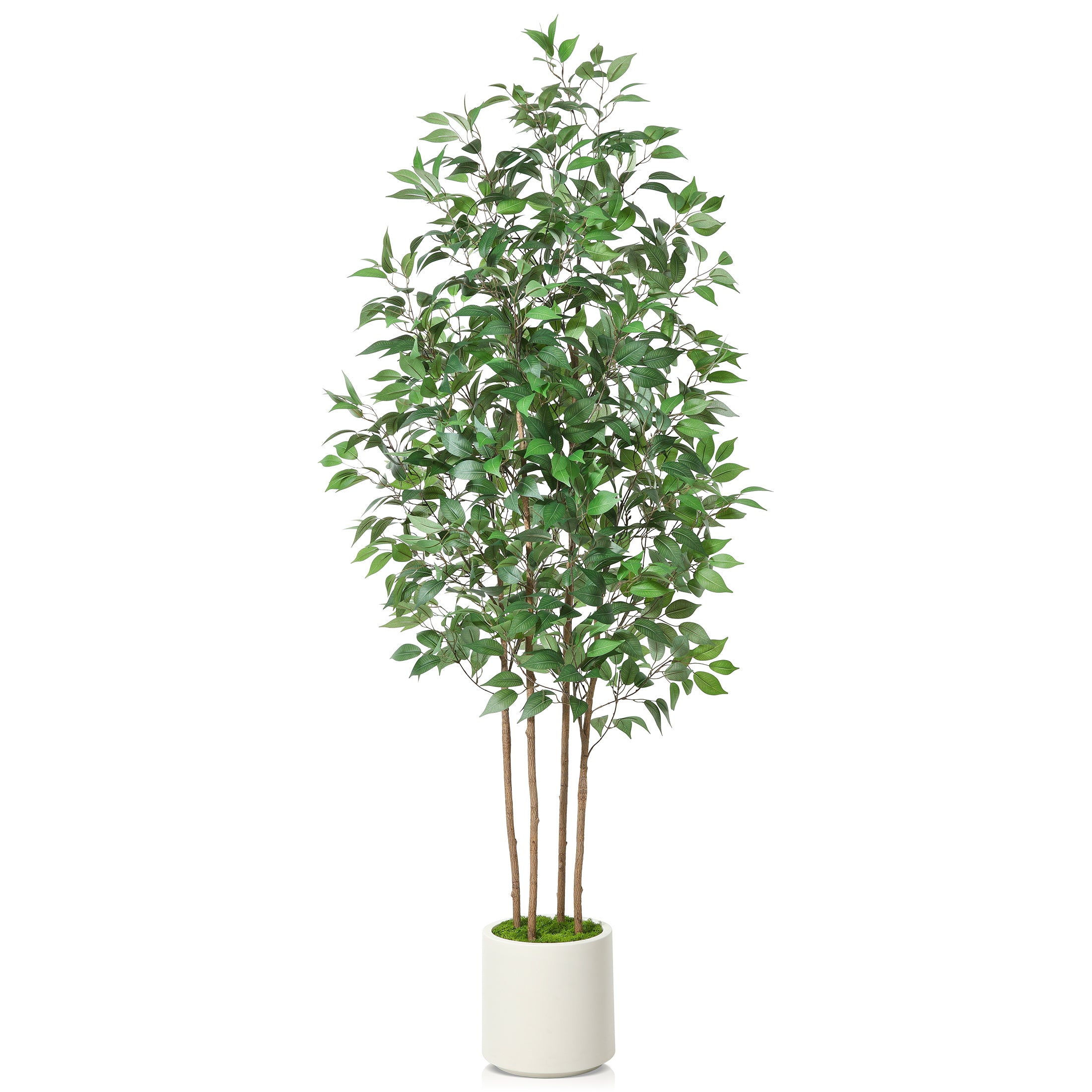 Premium Faux Ficus Tree with fabric and wood materials