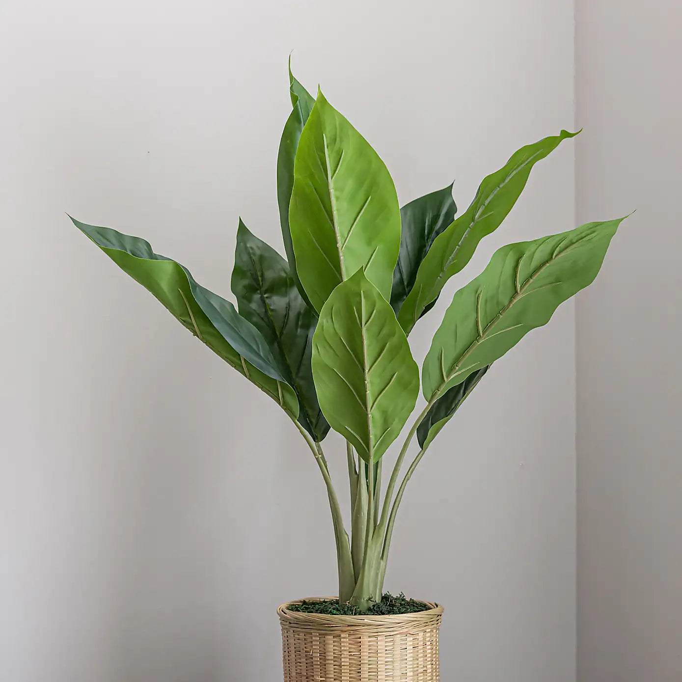 2 Ft Artificial Banana Plant in Bamboo Plant Pot – ideal for indoor botanical themes