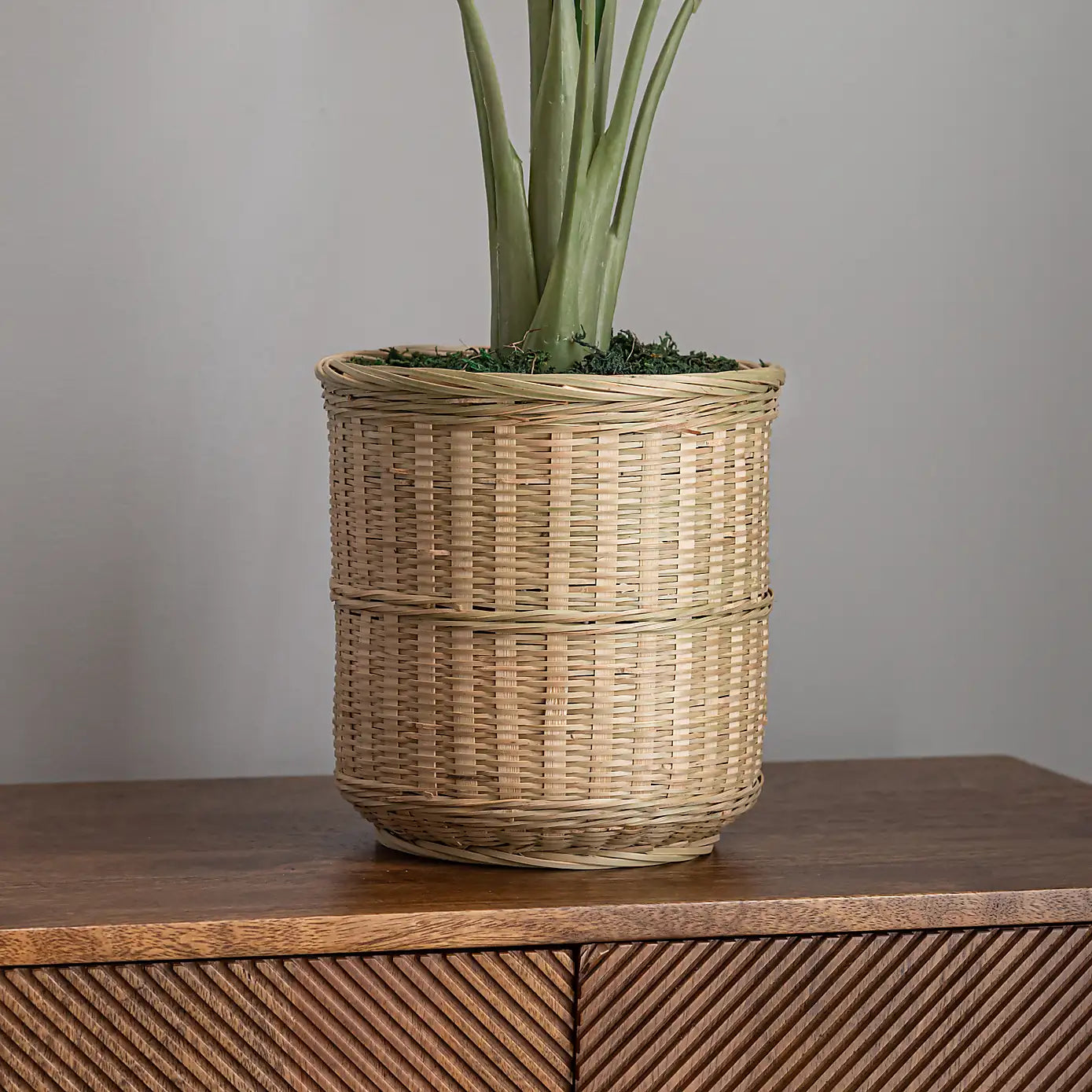 2 Ft Artificial Banana Plant in Bamboo Plant Pot – lifelike tropical plant alternative