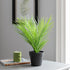 1.5 Ft Artificial Parlour Plant in Black Plant Pot – perfect for modern home decor