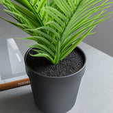 1.5 Ft Artificial Parlour Plant in Black Plant Pot – ideal for indoor botanical themes