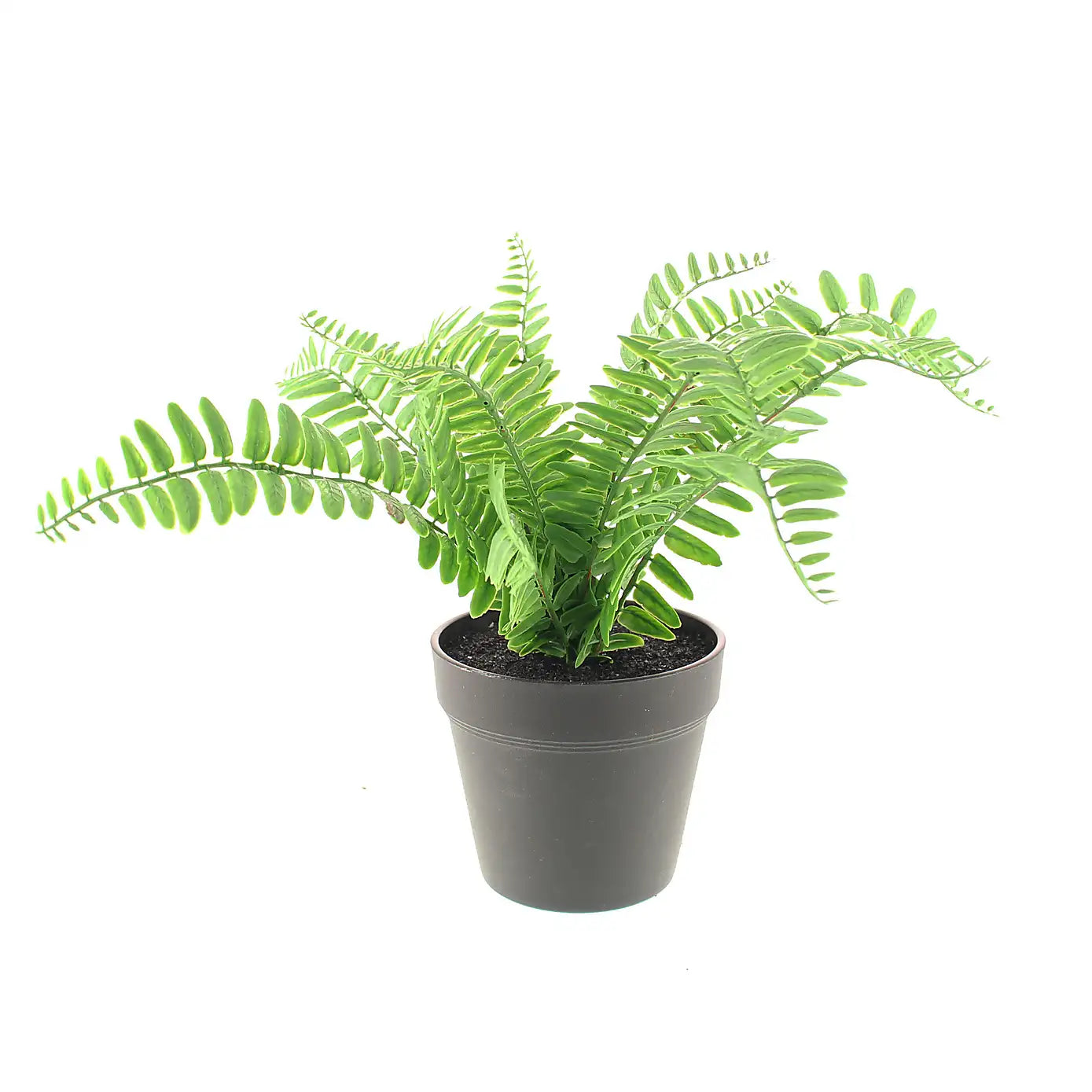 1 Ft Artificial Fern in Black Plant Pot – adds a lush green touch to interiors