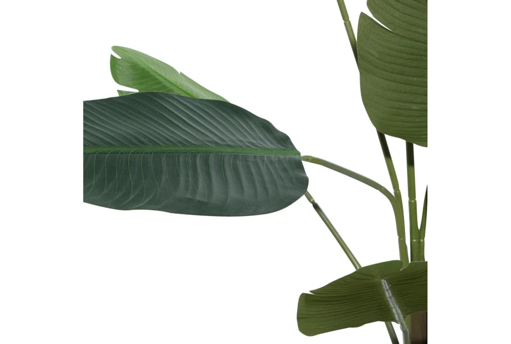 Close-Up of Artificial Banana Leaf Plant’s Natural-Looking Leaves