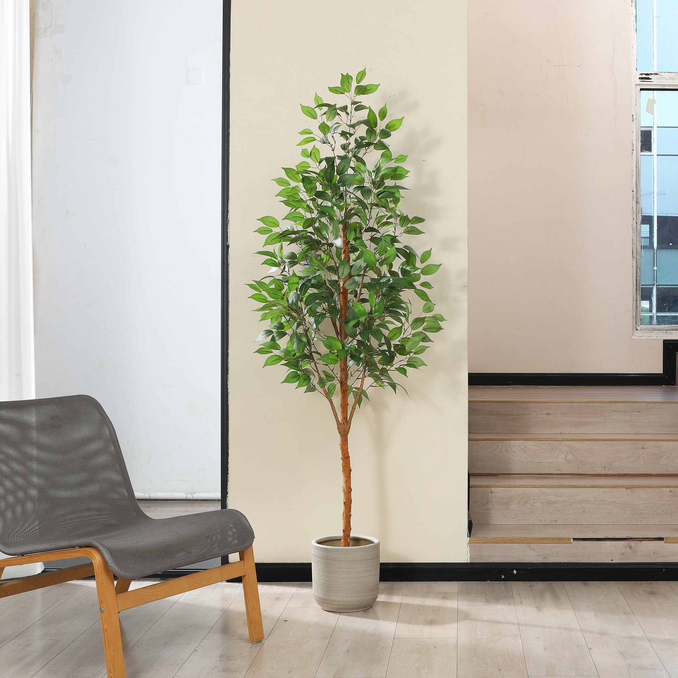 Faux Ficus tree adding elegance to a modern living room