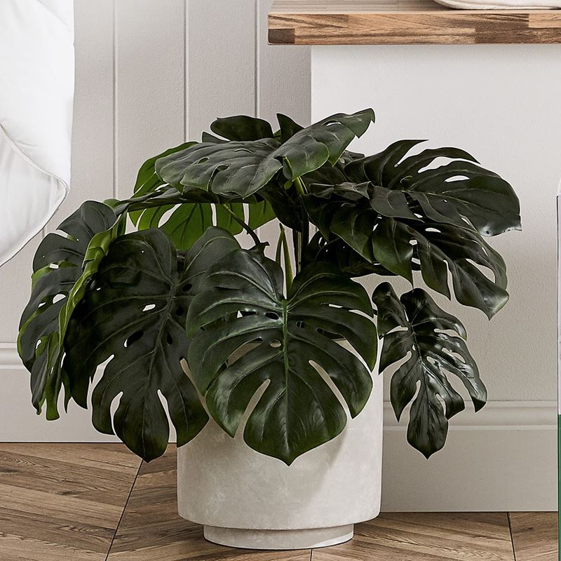 2 foot pot plant 2 Ft Monstera 2 Bunch Artificial Plant (Without Pot) – Luxiplant
