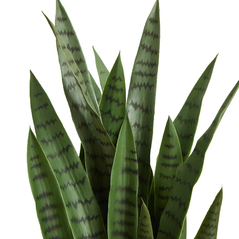 Realistic Rubber Faux Snake Plant for Stylish Interiors