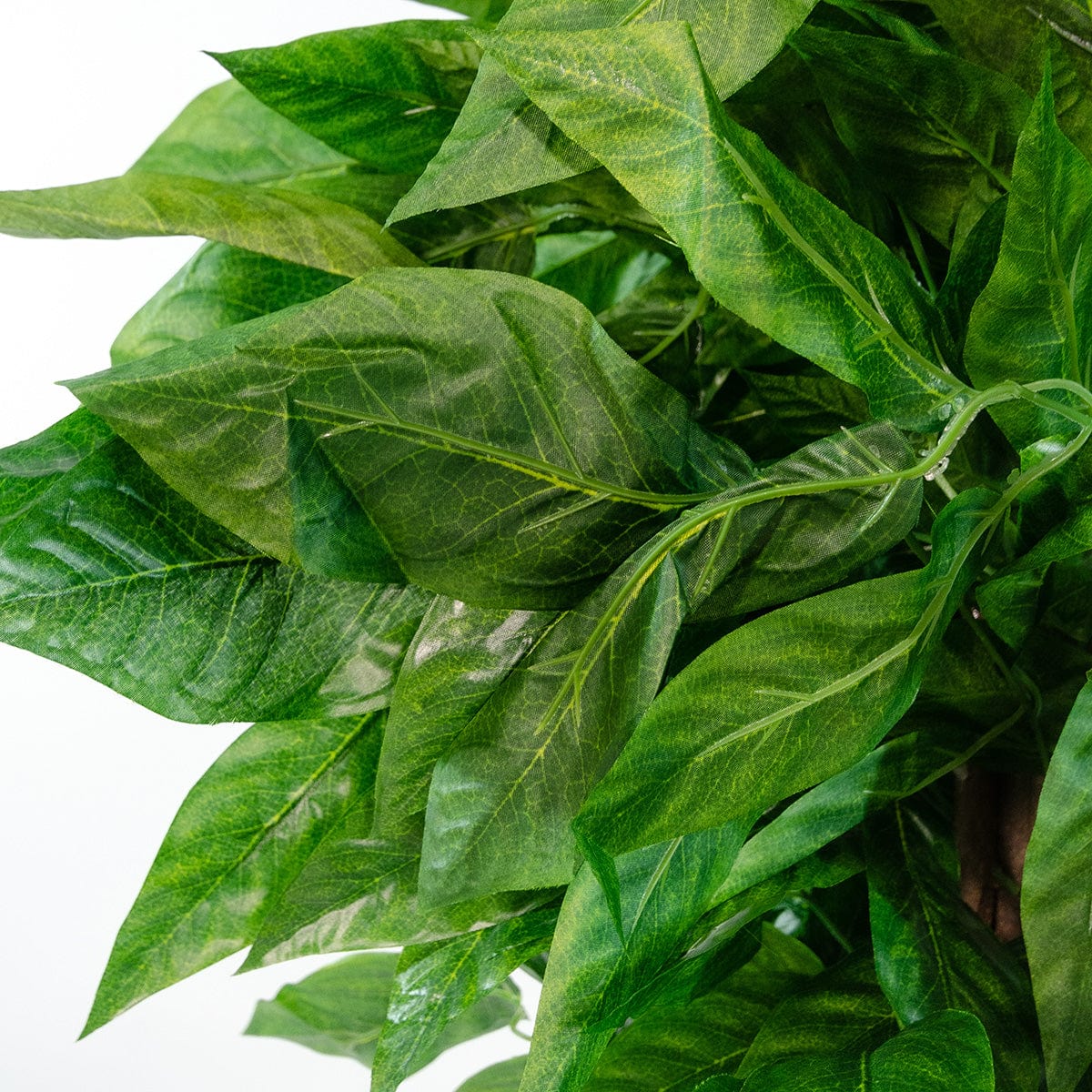 4 Ft Mango tree Artificial plant 100cm - 185cm – adds a lush green touch to interiors