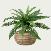 1 Ft Artificial Boston Fern Deluxe 45cm (bush) – crafted for realistic tropical vibes
