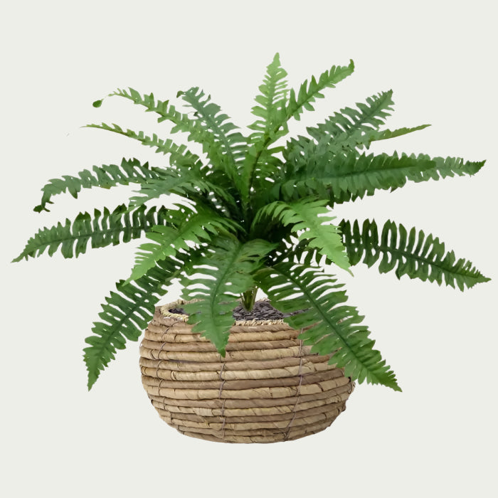 1 Ft Artificial Boston Fern Deluxe 45cm (bush) – crafted for realistic tropical vibes