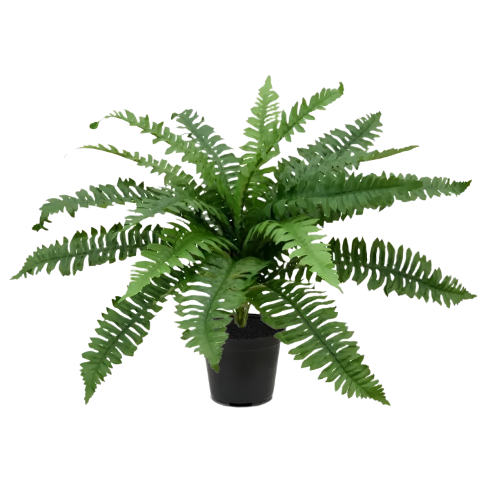 1 Ft Artificial Boston Fern Deluxe 45cm (bush) – perfect for modern home decor