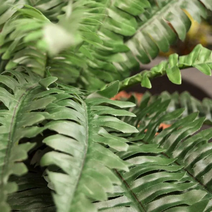 1 Ft Artificial Boston Fern Deluxe 45cm (bush) – adds a lush green touch to interiors
