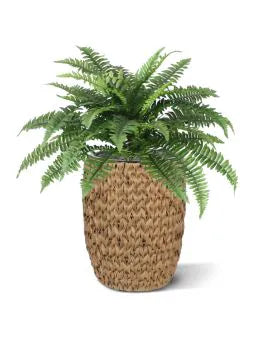 1 Ft Artificial Boston Fern Deluxe 45cm (bush) – decorative plant with zero maintenance