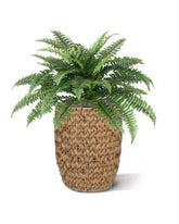 1 Ft Artificial Boston Fern Deluxe 45cm (bush) – decorative plant with zero maintenance