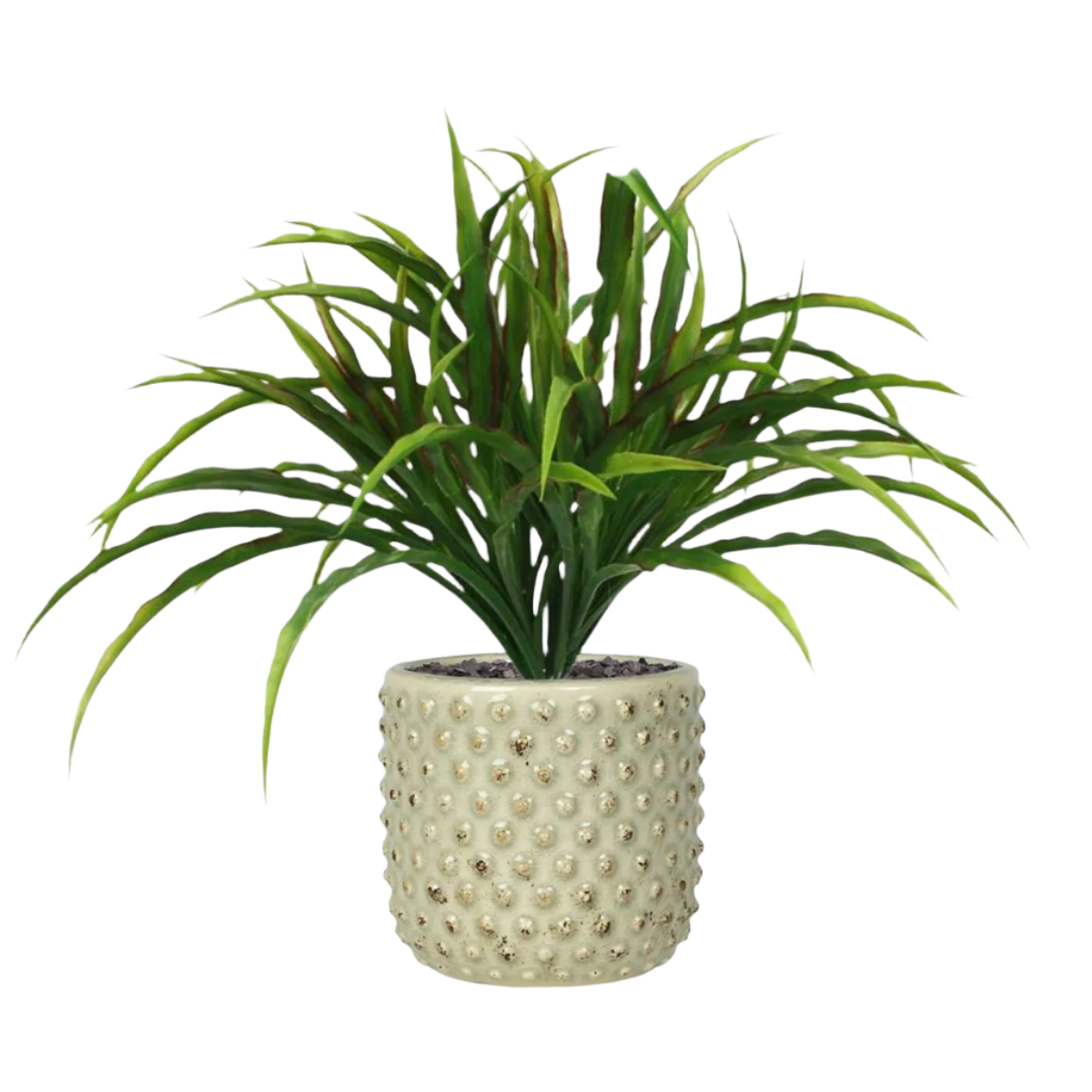 1 Ft Artificial Draceana 25 cm redgreen (bush) – perfect for modern home decor