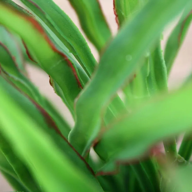 1 Ft Artificial Draceana 25 cm redgreen (bush) – adds a lush green touch to interiors