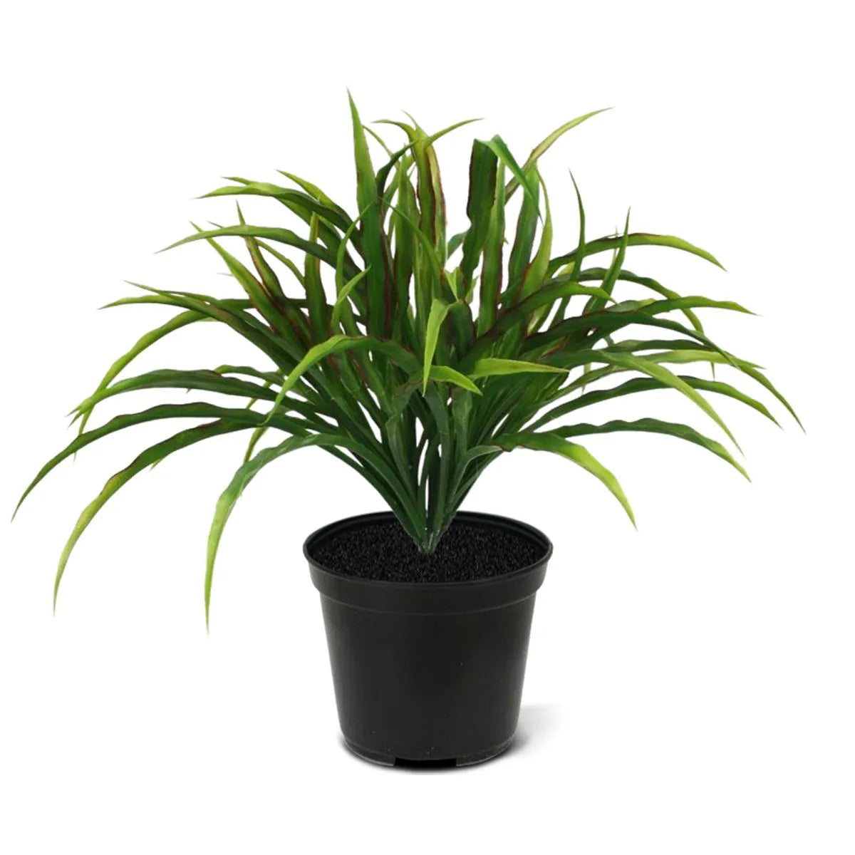 1 Ft Artificial Draceana 25 cm redgreen (bush) – ideal for indoor botanical themes