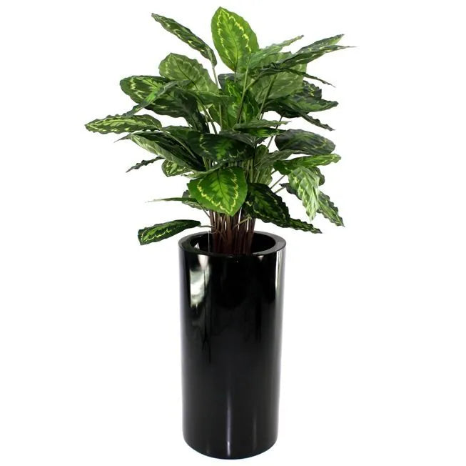Realistic 2.5 Ft faux Calathea plant with vibrant pink and green foliage