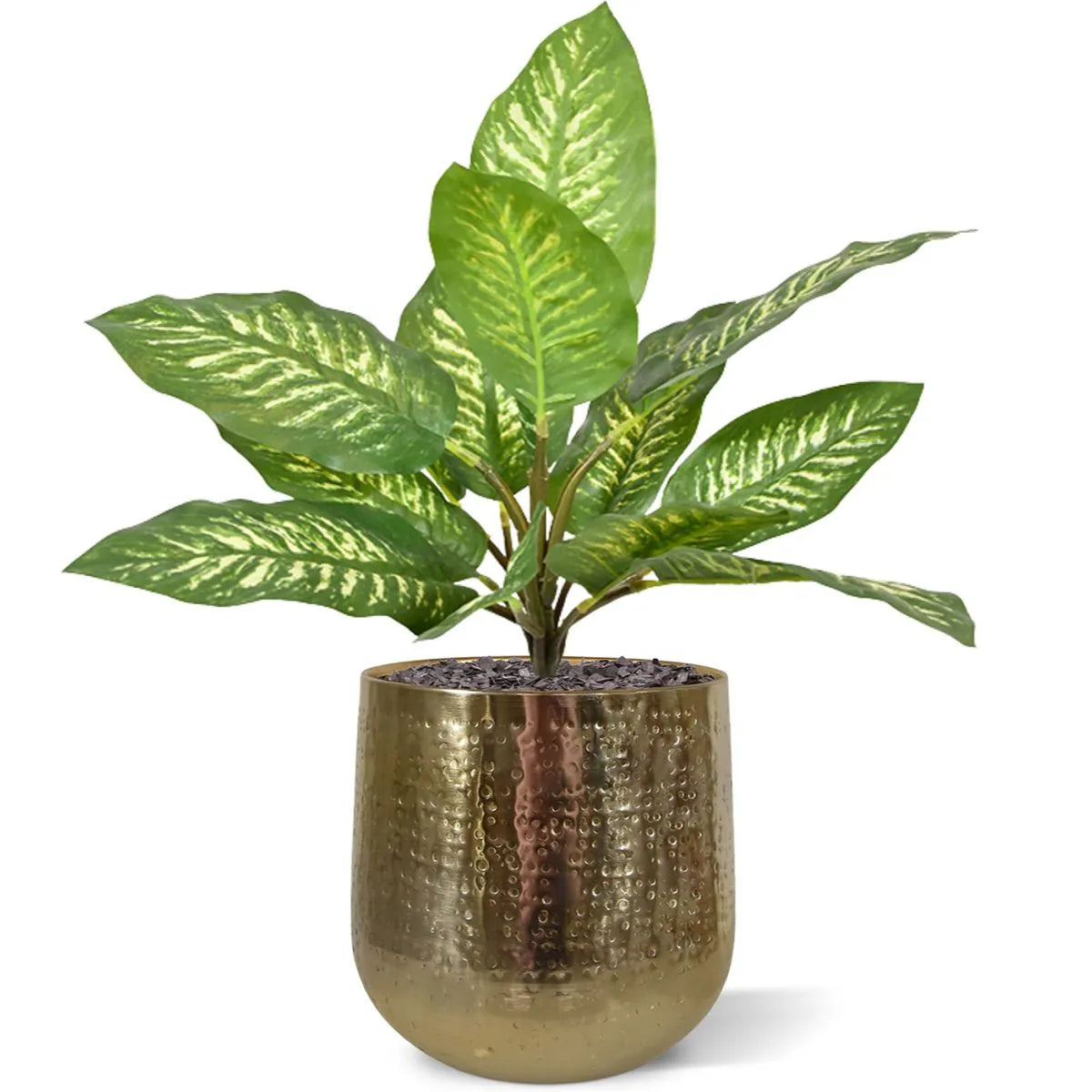 1.5 Ft Artificial Dieffenbachia Zebra plant 25 cm (bush) – faux greenery with vibrant texture