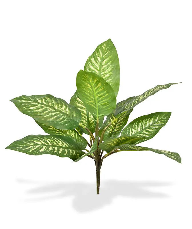 1.5 Ft Artificial Dieffenbachia Zebra plant 25 cm (bush) – lifelike tropical plant alternative
