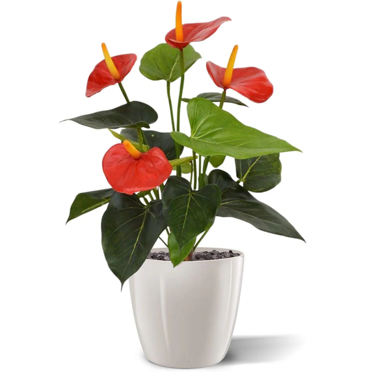 2 Ft Artificial Anthurium bush 40cm red – adds a lush green touch to interiors