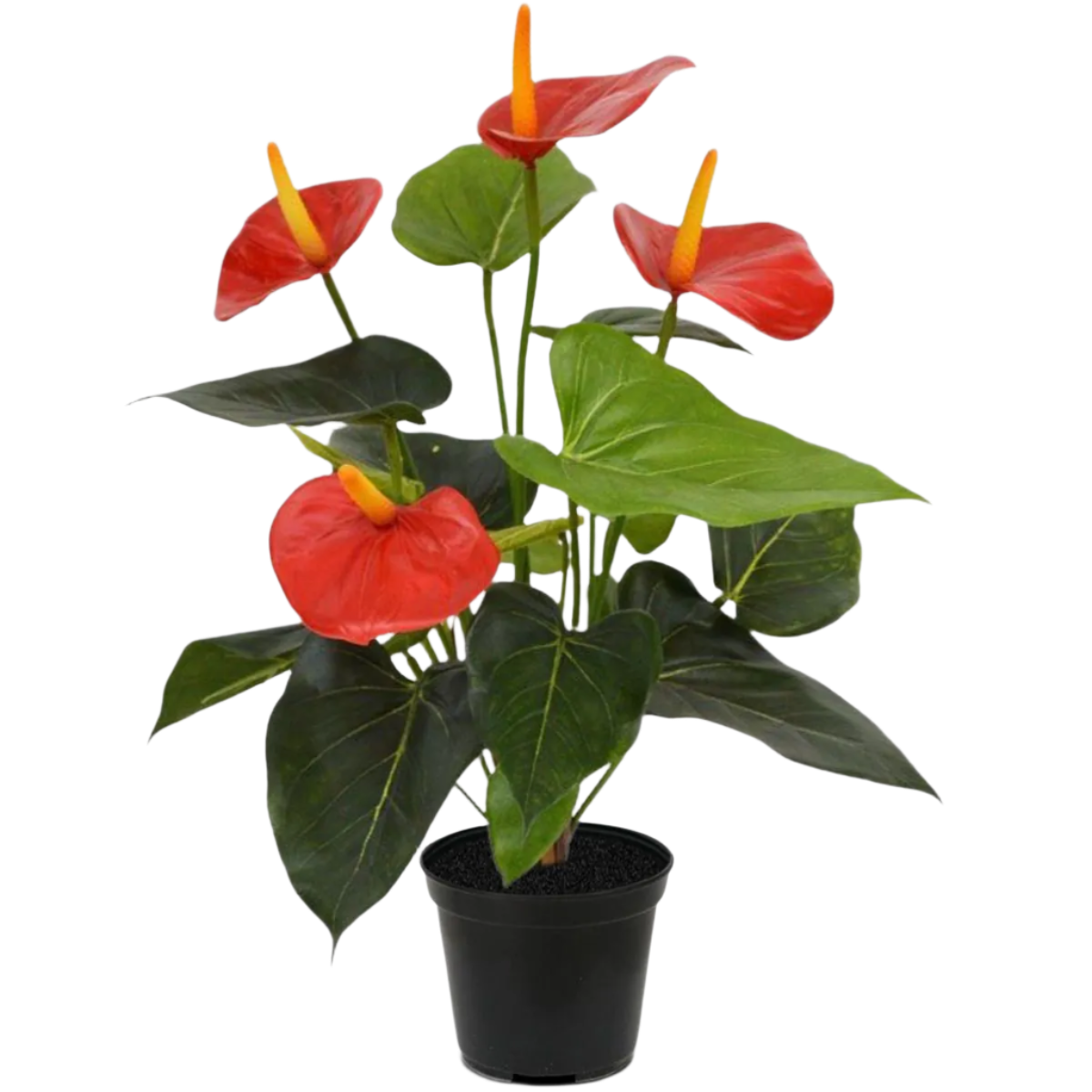 2 Ft Artificial Anthurium bush 40cm red – perfect for modern home decor