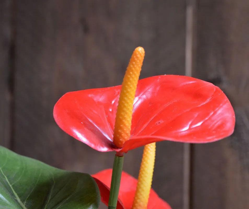 2 Ft Artificial Anthurium bush 40cm red – enhances any living space naturally