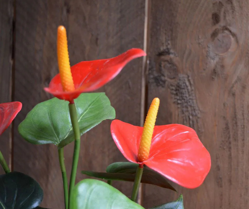 2 Ft Artificial Anthurium bush 40cm red – ideal for indoor botanical themes