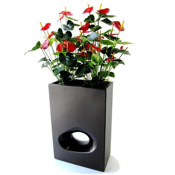 2 Ft Artificial Red Anthurium – Tropical Flower Plant – enhances any living space naturally