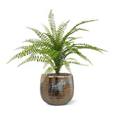1.5 Ft Artificial Asplenium Fern Bouquet 45 cm – crafted for realistic tropical vibes