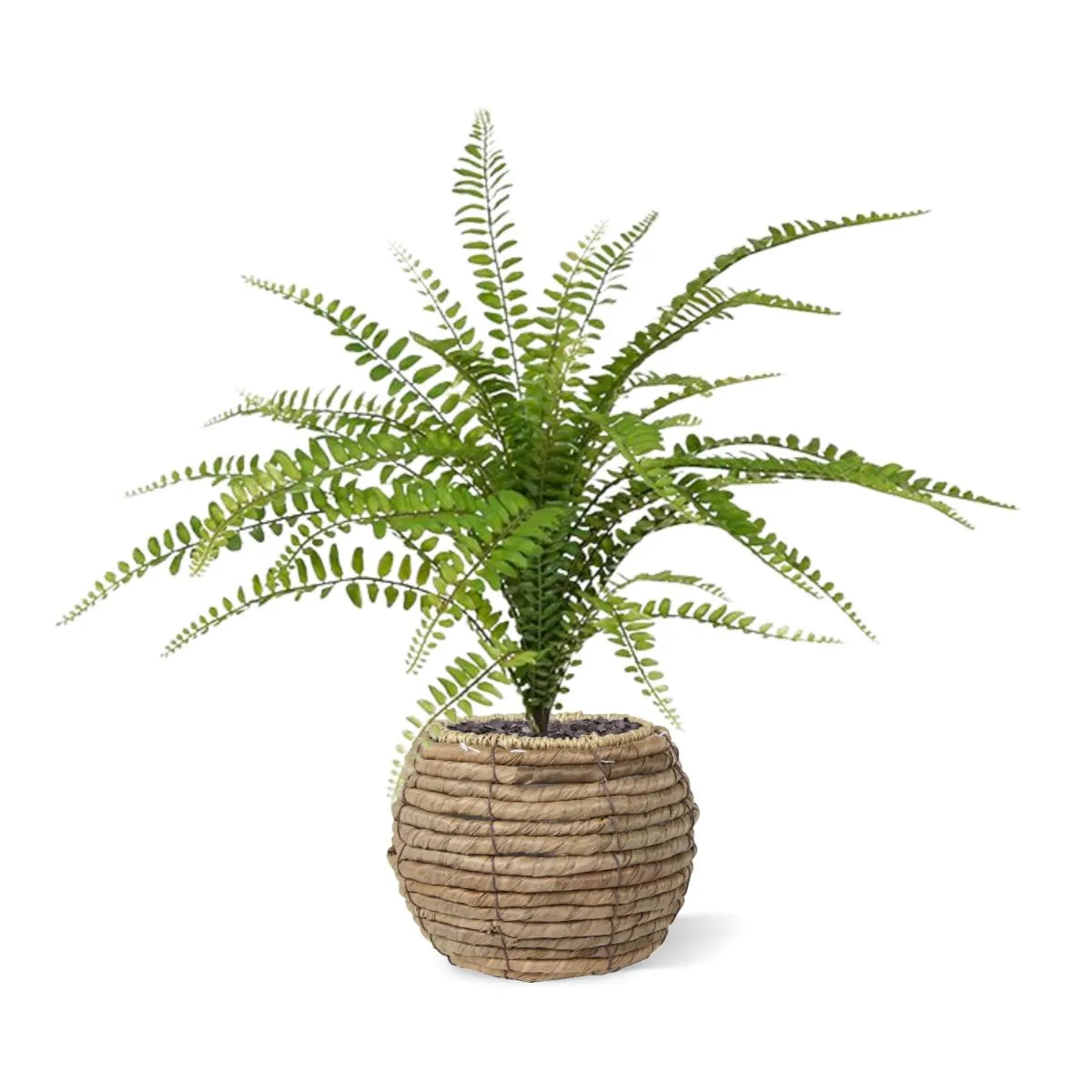 1.5 Ft Artificial Asplenium Fern Bouquet 45 cm – brightens up dull corners effortlessly