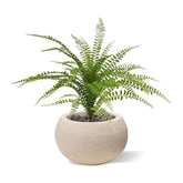 1.5 Ft Artificial Asplenium Fern Bouquet 45 cm – premium artificial houseplant design