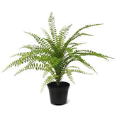 1.5 Ft Artificial Asplenium Fern Bouquet 45 cm – ideal for indoor botanical themes