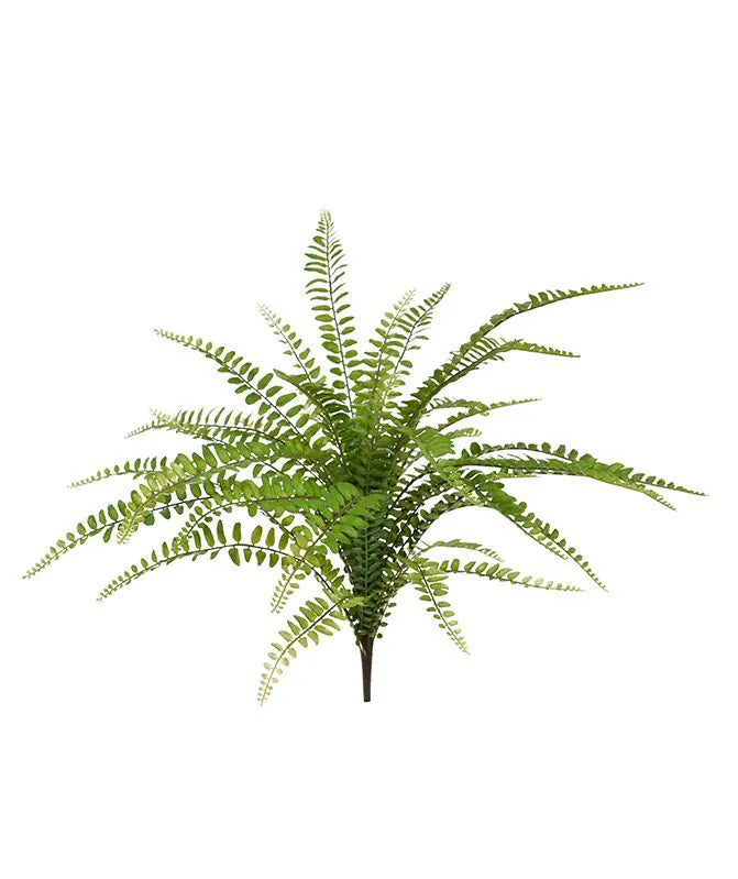 1.5 Ft Artificial Asplenium Fern Bouquet 45 cm – adds a lush green touch to interiors