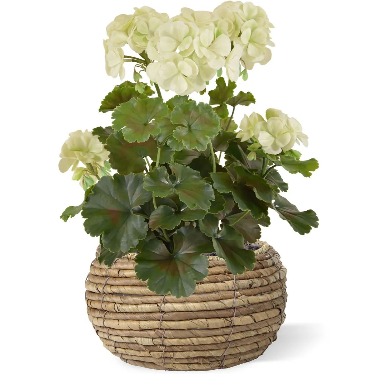 1.5 Ft Artificial Geranium PL plant 38cm cream UV proof – adds a lush green touch to interiors